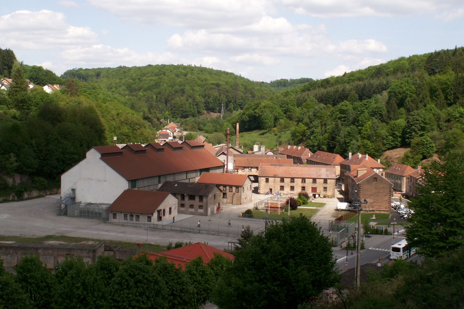 Les toits rouges des Cristalleries de Saint-Louis vus depuis l'église du village, au fond d'une vallée boisée